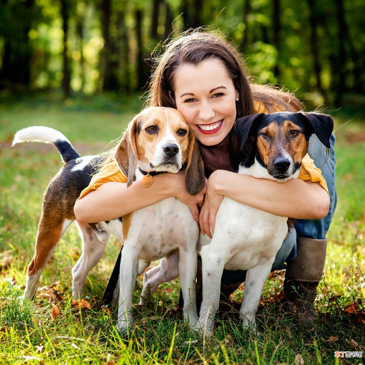 饲养宠物犬的常识 宠物狗知识
