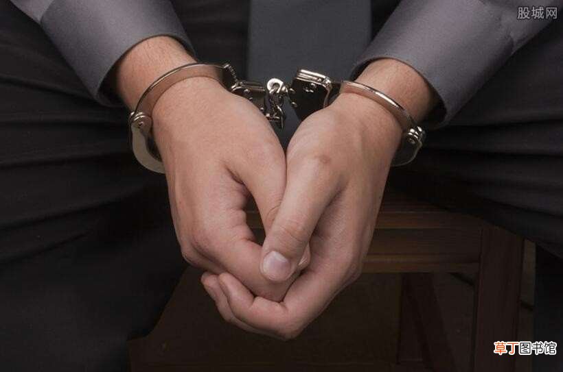 应该加以严惩 股民造谣高瓴资本张磊遭边控被刑拘