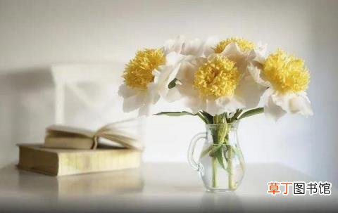 轴承为什么要锻造 为什么要锻造