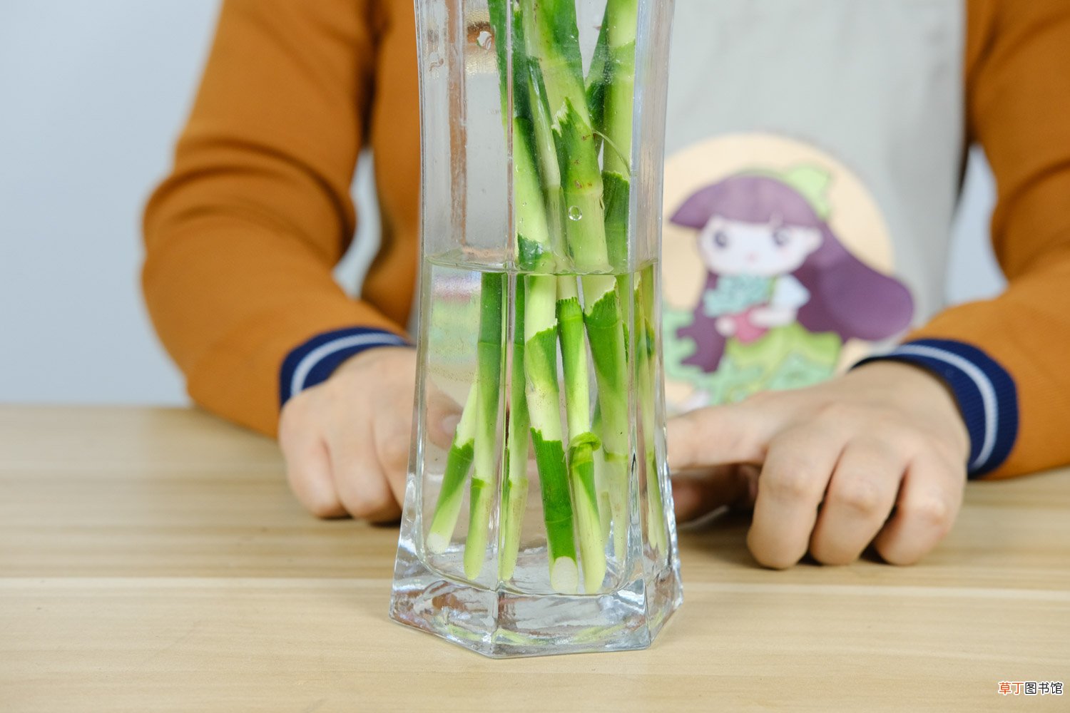 富贵竹在家养，水里加点“小颗粒”，枝叶绿油油！