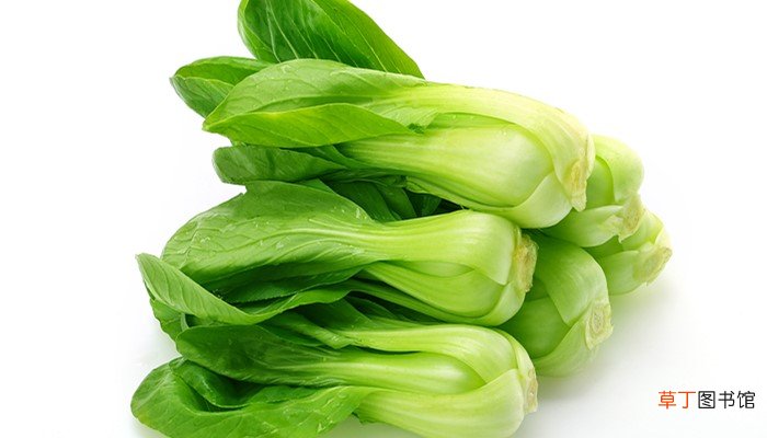 梦见摘青菜是什么预兆