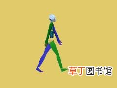小腿粗是天生的吗 为什么小腿很粗