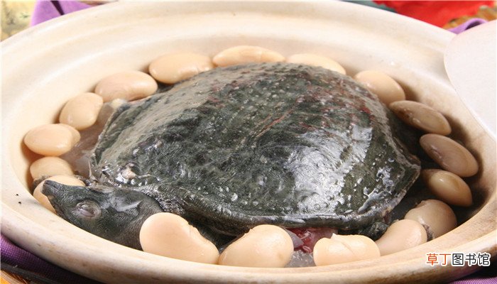 梦见吃甲鱼是什么预兆