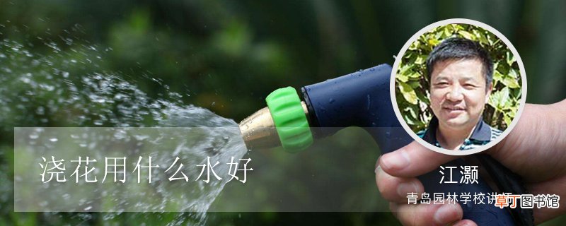 浇花用什么水好