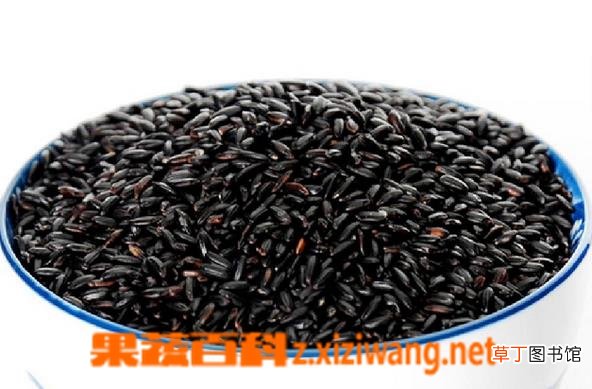 黑糯米的功效与作用 黑糯米的食用方法