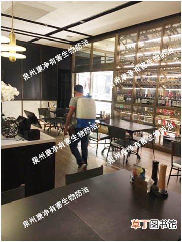 蟑螂怎么消灭才彻底 家里有小蟑螂怎么消灭