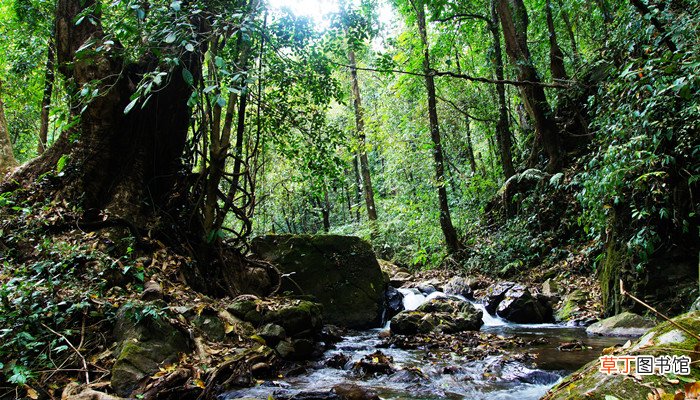 梦见河水又大又黄的浑水