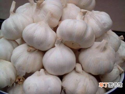 今年什么农产品价格低 为什么农产品价格低