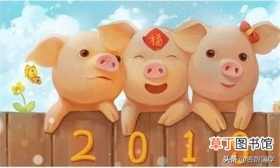 猪年贺岁祝福语 猪年新春贺词