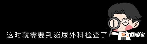 精子为什么会自动流出来 精子为什么是透明的