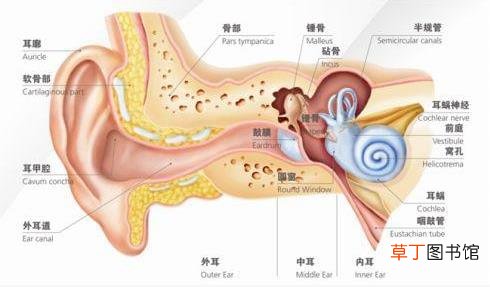 刺啦！听到了粉笔划过黑板的声音 为什么会让你抓狂？