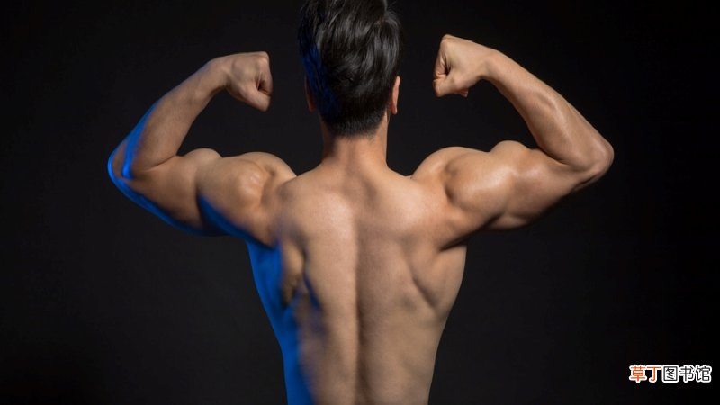女梦见男人生育器
