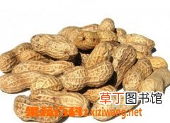 花生的功效与作用