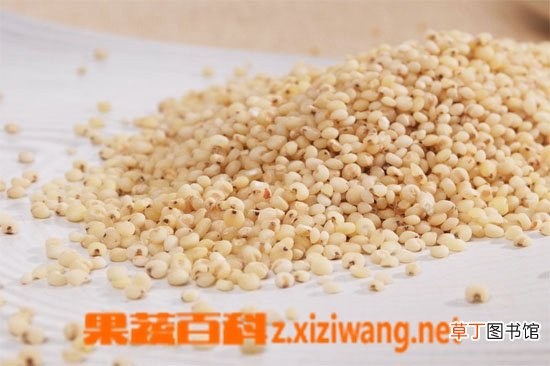 高粱米怎么吃 高粱米的做法步骤教程