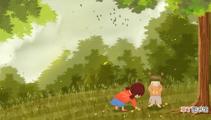 梦见捡东西