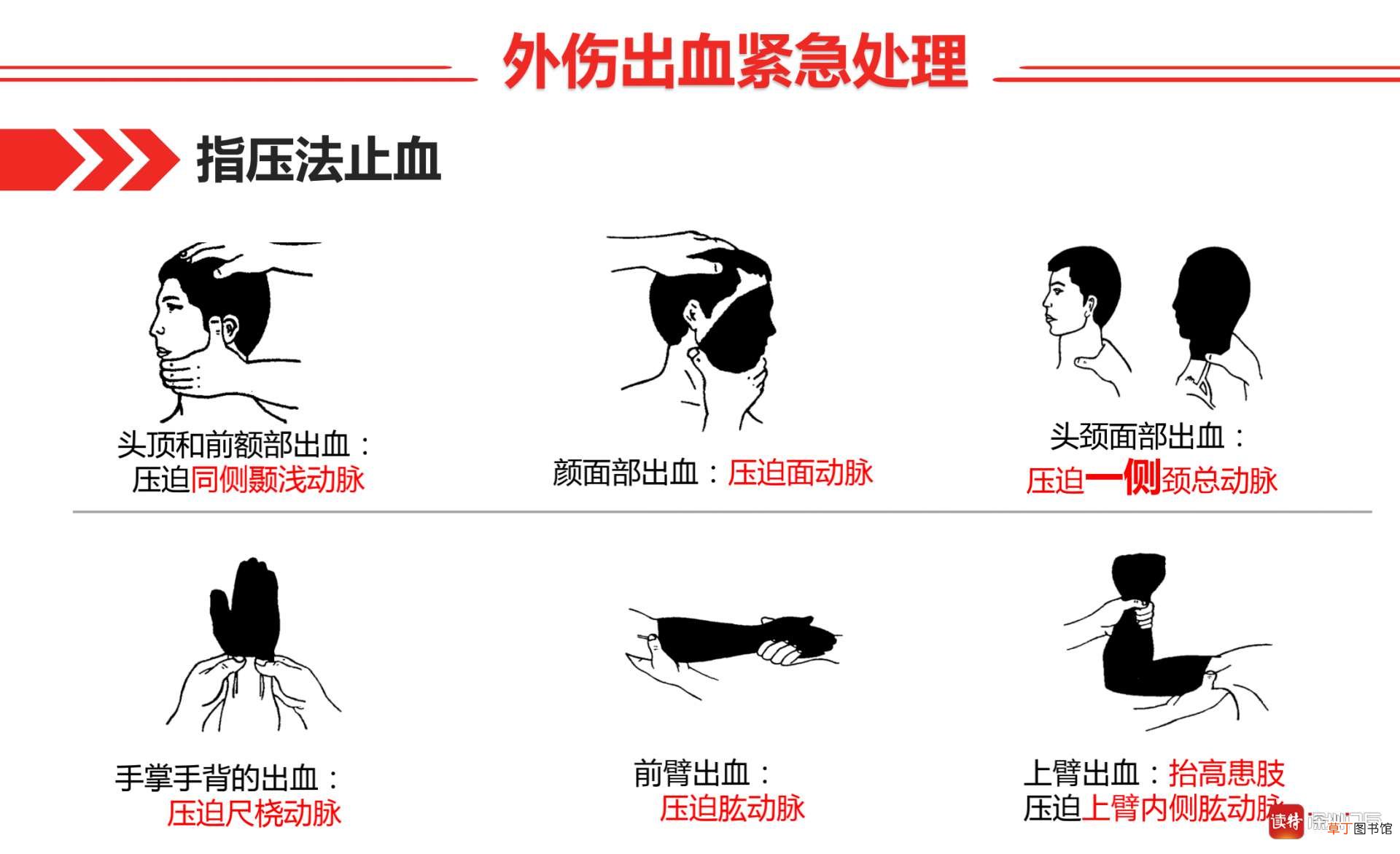 90%儿童意外伤害可预防！遇到意外伤害怎么办?专家教你如何急救