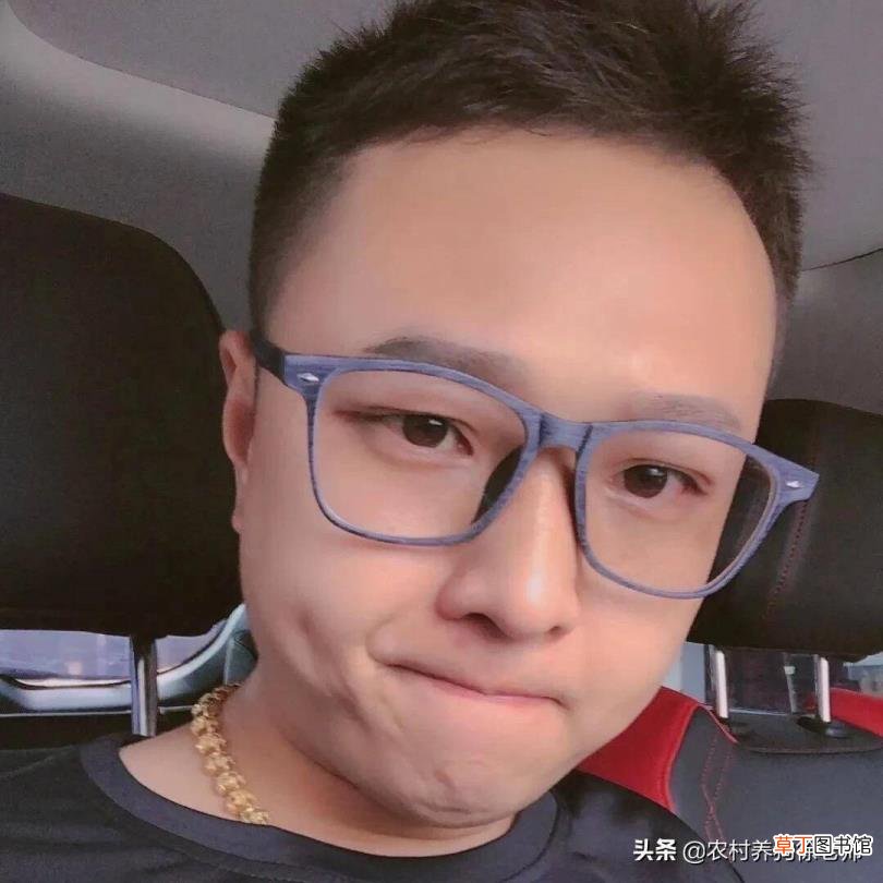 狗狗细小抽搐还有救吗 为什么会得细小