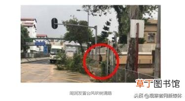 周润发捐款56亿是真的吗 古天乐为什么不结婚