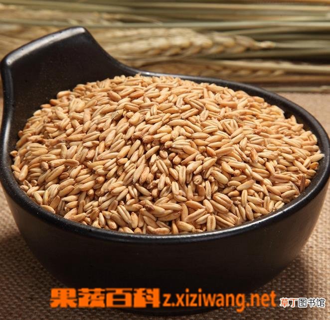 燕麦是碱性食品吗 吃燕麦的好处有哪些
