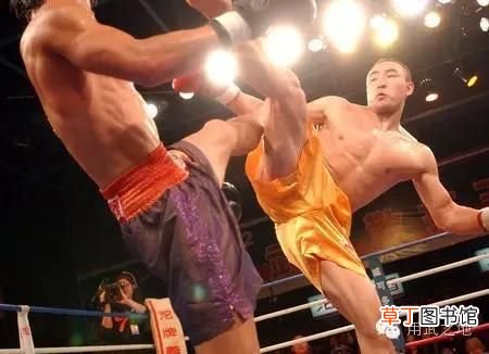 中国功夫vs职业泰拳 中国功夫和泰拳