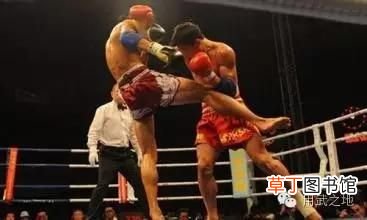 中国功夫vs职业泰拳 中国功夫和泰拳