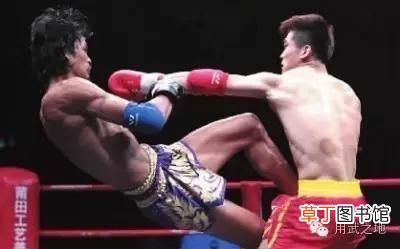 中国功夫vs职业泰拳 中国功夫和泰拳