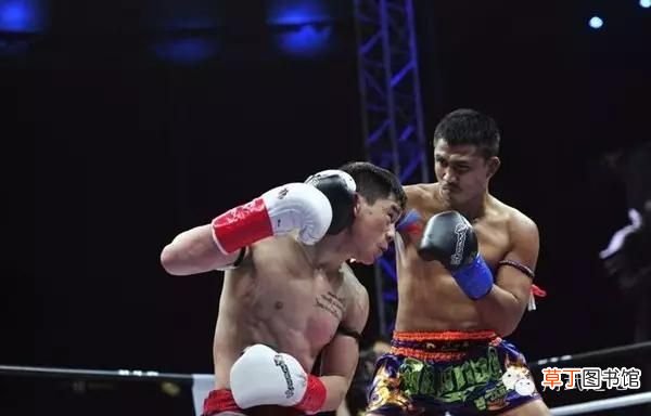 中国功夫vs职业泰拳 中国功夫和泰拳
