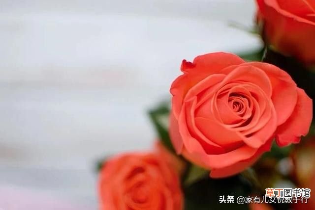 关于感恩的八则小故事！ 感恩正能量故事大全