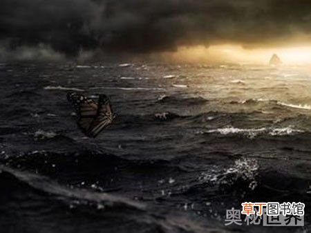 蝴蝶效应是什么意思 蝴蝶效应