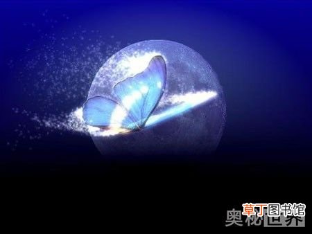 蝴蝶效应是什么意思 蝴蝶效应