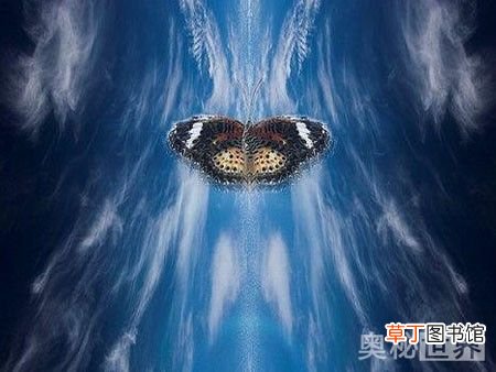 蝴蝶效应是什么意思 蝴蝶效应