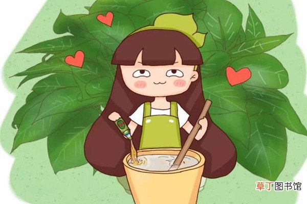 淘米水加点它,肥效猛增10倍,啥花喝了都疯长!