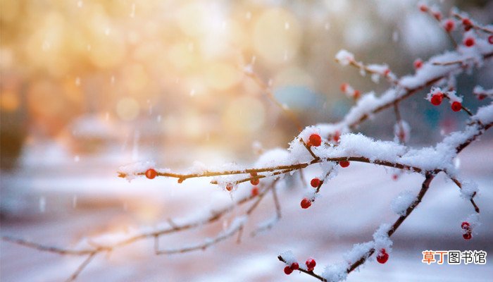 母亲去世前我梦到下雪
