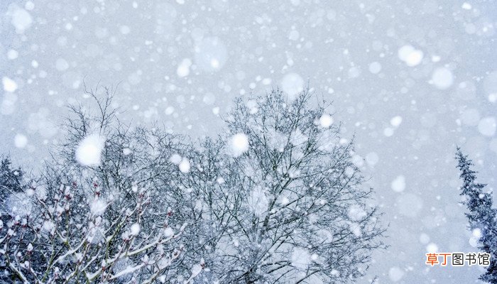 母亲去世前我梦到下雪