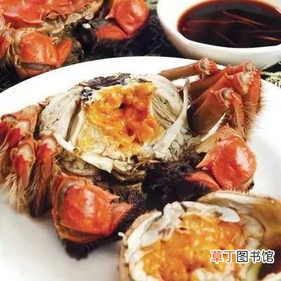 德国人为什么不吃螃蟹 (在德国吃螃蟹？）