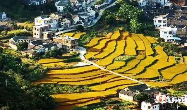 国庆深圳必去旅游景点  深圳十一去哪玩