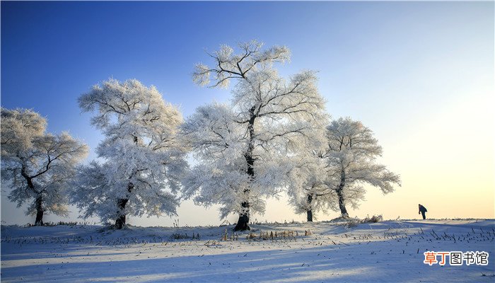 梦见在厚厚的雪里行走