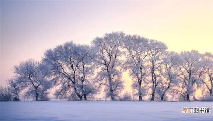 梦见下大雪是什么预兆
