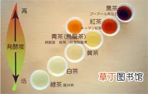 茶叶是怎么被发现的? 茶为什么发酵