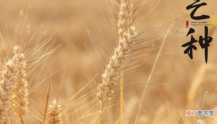 梦见稻草是什么意思