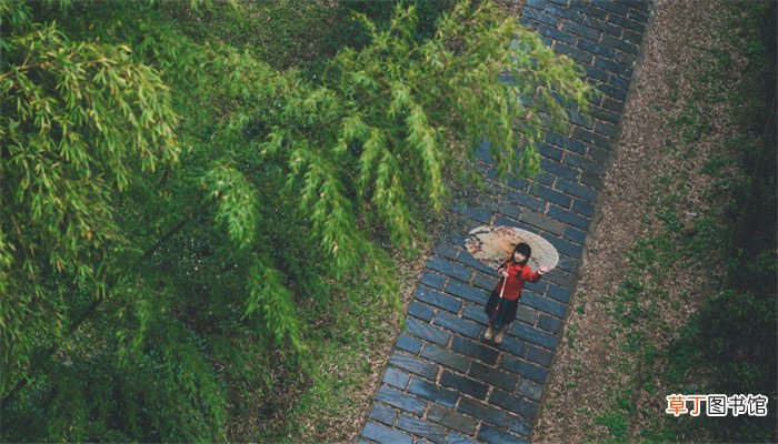 梦见下大雨到处都淹了