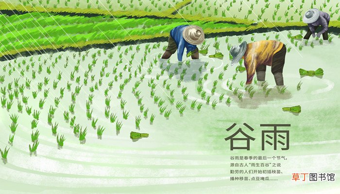 梦见插秧是什么意思