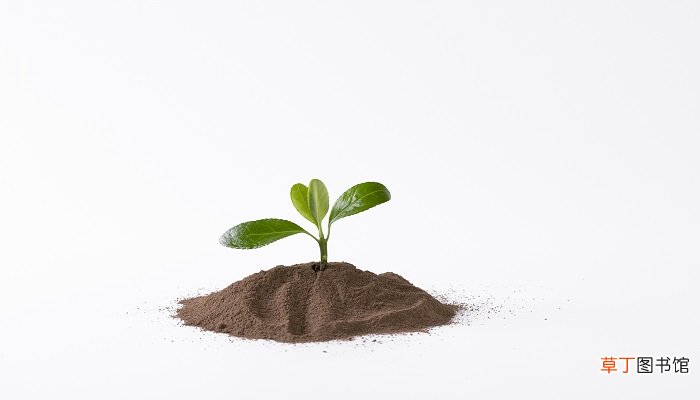 女人梦见拔地里的杂草