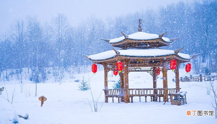 女人梦见白白的雪地