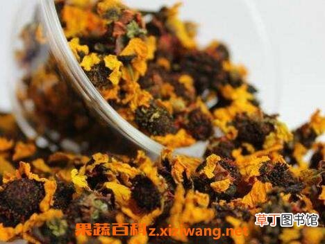 雪菊与什么相克 雪菊的功效与作用