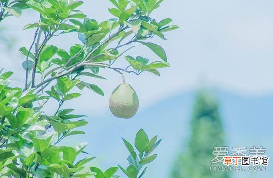 母亲节心情说说大全 母亲节怎么发朋友圈简短