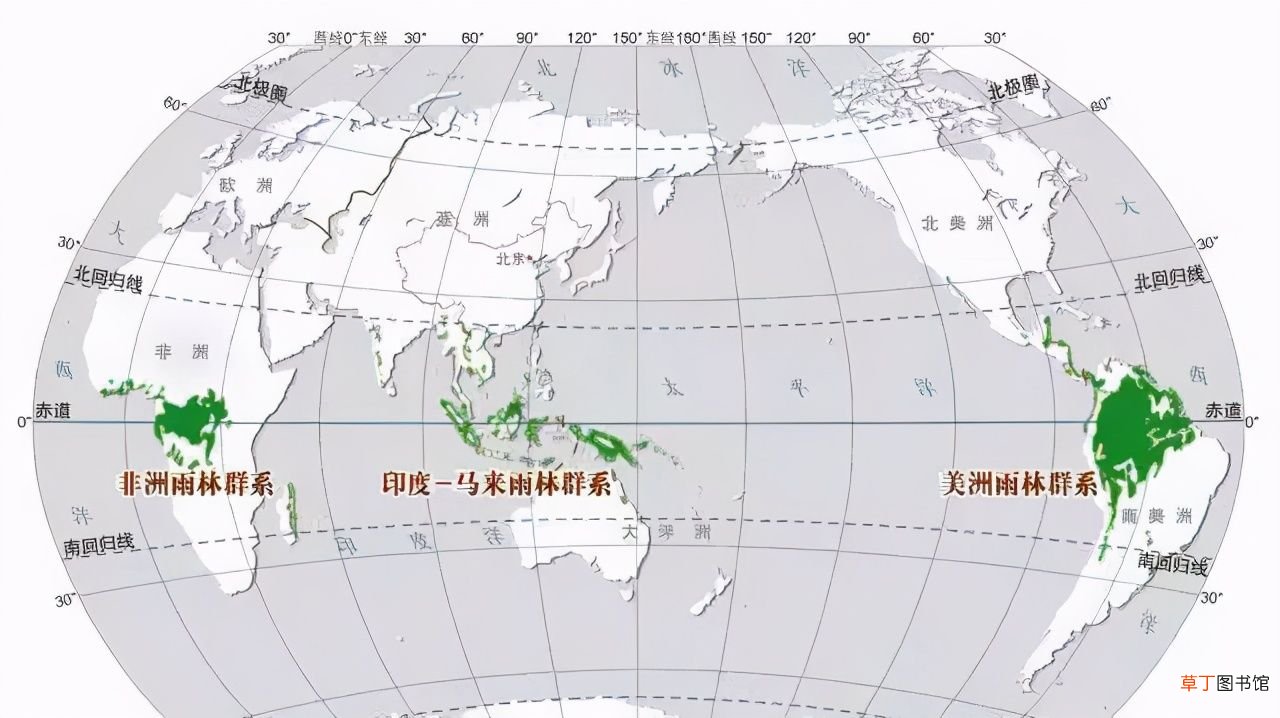 世界上最大的蛇究竟有多大？ 世界上发现最大的蛇