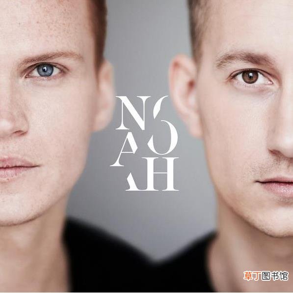 noah是什么牌子