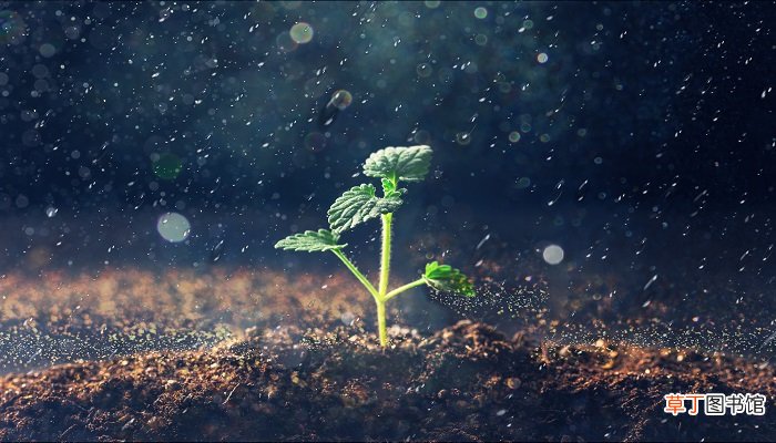 梦到下雨被淋湿