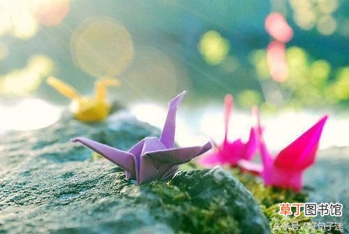 给父亲的话经典语录！ 父亲节想对爸爸说的话